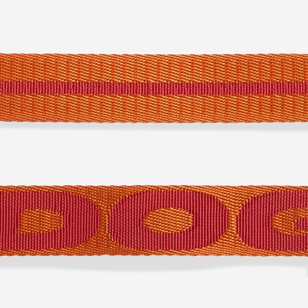 NEW GIBSON Orange Red Blue Large Dog Adjustable $85 Collar Leash 4 Ft Gift Set - Picture 14 of 14